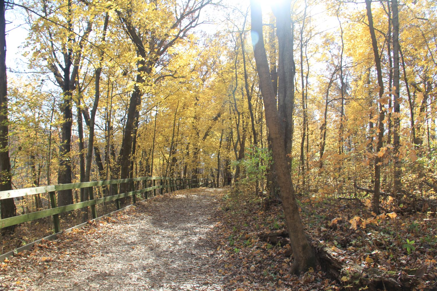 Matthiessen 